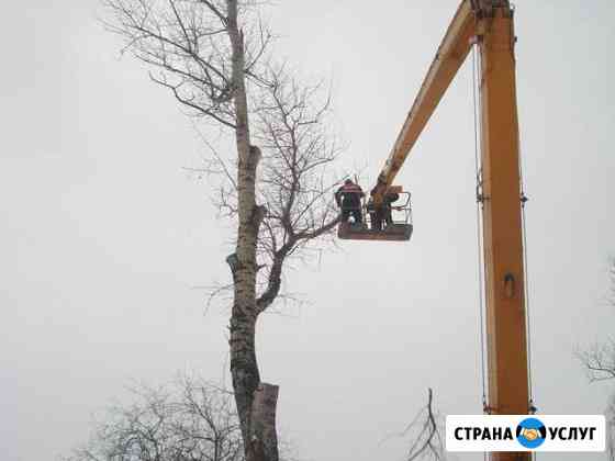 Спил деревьев любой сложности в стеснённых условия Ульяновск