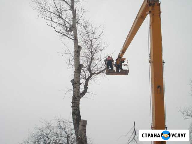 Спил деревьев любой сложности в стеснённых условия Ульяновск - изображение 1