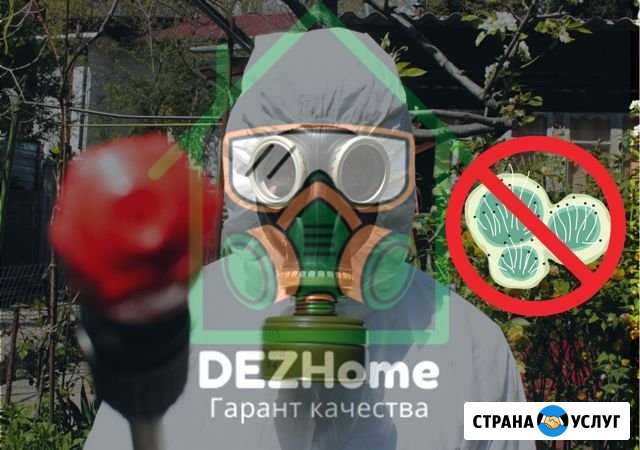 Уничтожение Плесени и грибка Алушта - изображение 1