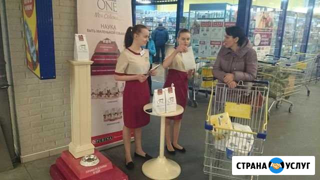 Группа промоутеров с супервайзером Санкт-Петербург - изображение 1