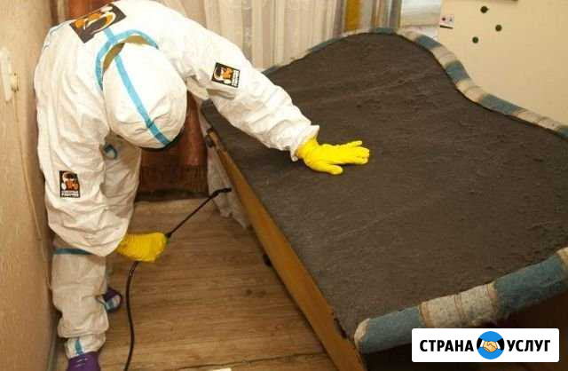 Уничтожение клопов, тараканов, блох, муравьев Уфа - изображение 1