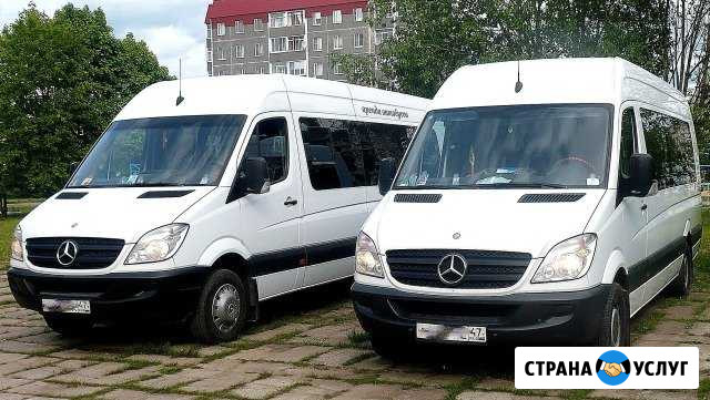 Аренда автобусов и микроавтобусов в Гатчине Гатчина - изображение 1
