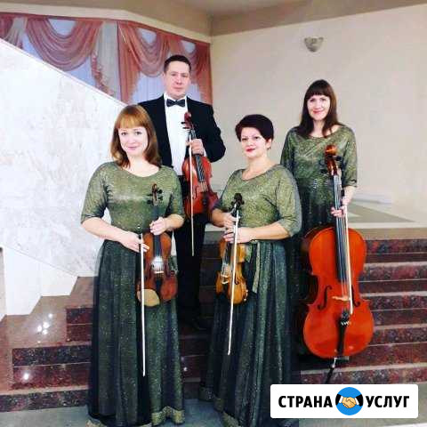 Музыкальное оформление Курск - изображение 1