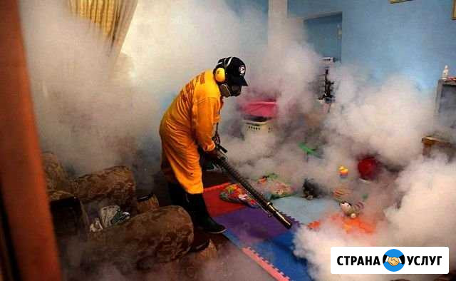 Уничтожение насекомых, грызунов и плесени Кабардинка - изображение 1