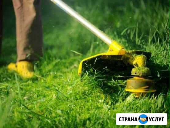 Покос травы Ставрополь - изображение 1