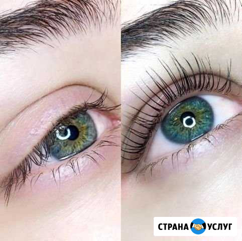 Оформление бровей, ламинирование и коллагенировани Медведовская - изображение 1