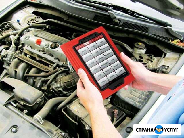 Компьютерная диагностика авто на Суздальском, 2 Санкт-Петербург - изображение 1