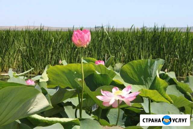 Экскурсии на моторной лодке Голубицкая - изображение 1