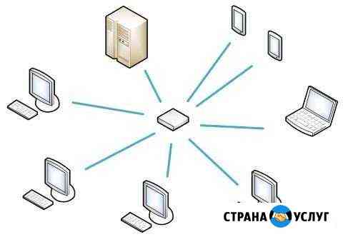 Специалист в области интернета и сетей Курск