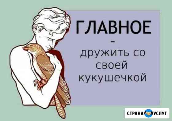 Консультации Челябинск