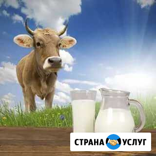 Молоко домашнее коровье Шахты - изображение 1