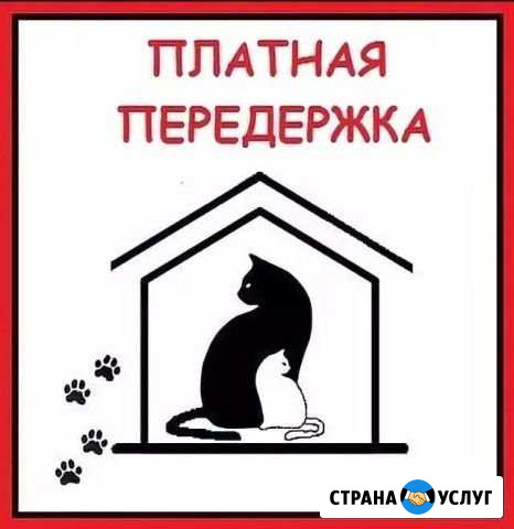 Передержка Оренбург - изображение 1