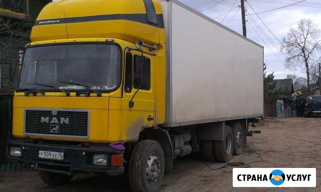 Грузоперевозки MAN изотерм +реф +5гр 10-14т Рыбинск - изображение 1