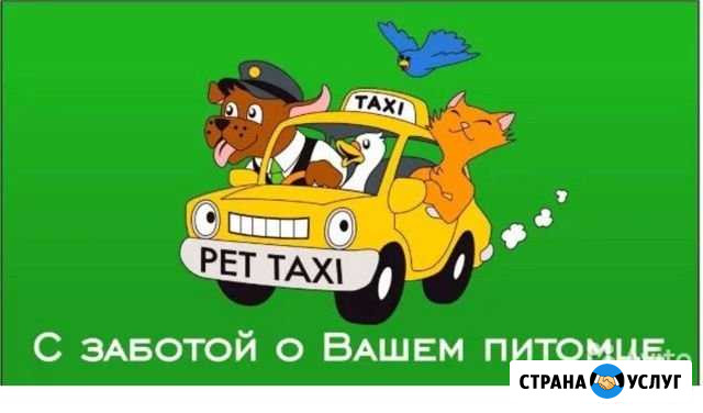 Зоотакси Армавир - изображение 1