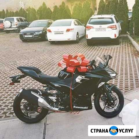 Большой бант Краснодар - изображение 1