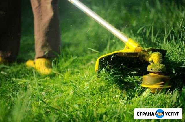Покос газона, травы Североуральск - изображение 1