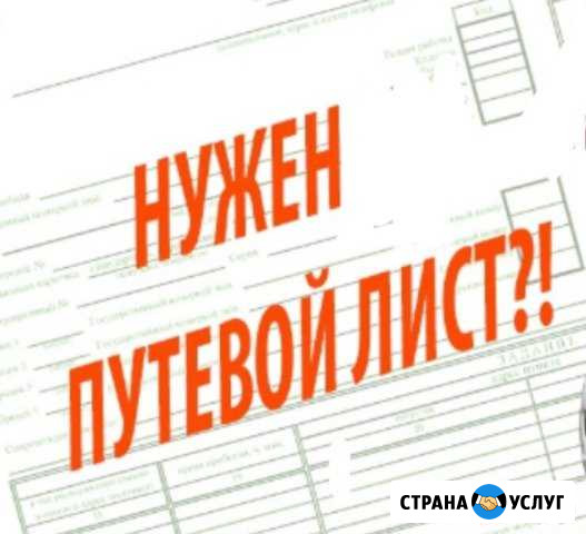 Путевые листы для такси и грузового тс Москва - изображение 1