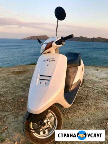 Аренда скутера/мопеда Honda takt AF24 Феодосия - изображение 1