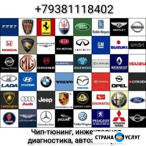 Чип-тюнинг Ростов-на-Дону - изображение 1