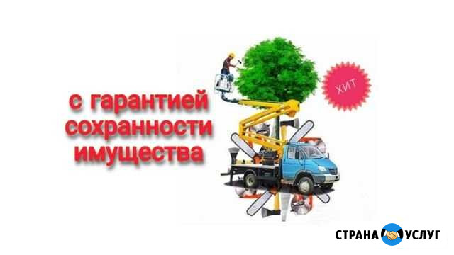 Спил деревьев во Владимире и Области Владимир - изображение 1