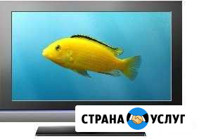 Ремонт мониторов и телевизоров Брянск - изображение 1