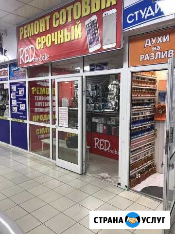Ремонт сотовых REDmobile Хабаровск - изображение 1