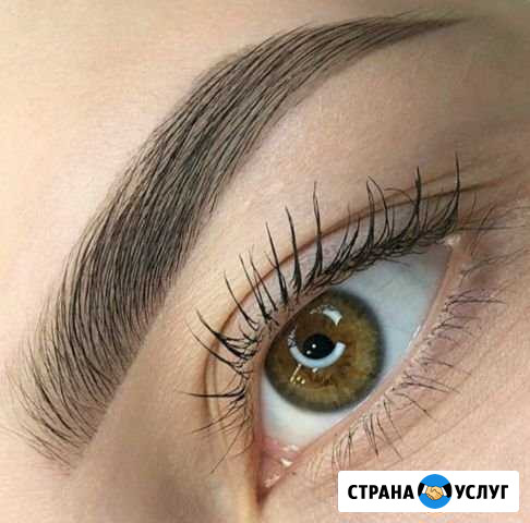 Архитектура бровей Калининград - изображение 1