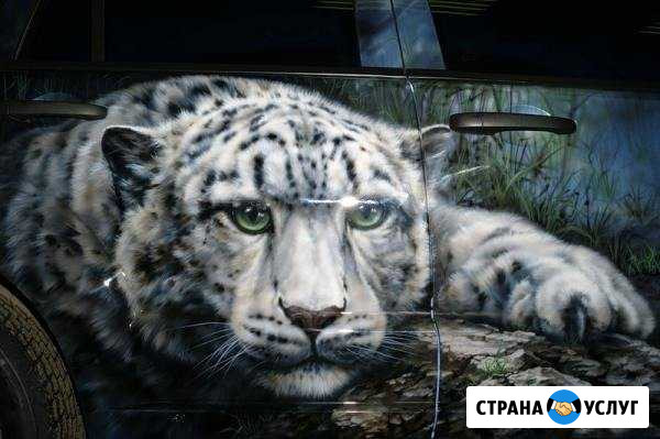 Украшу ваше авто (аэрография) Барнаул - изображение 1
