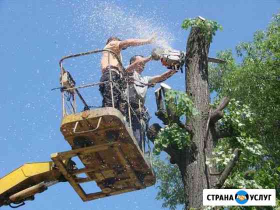 Спил деревьев Екатеринбург