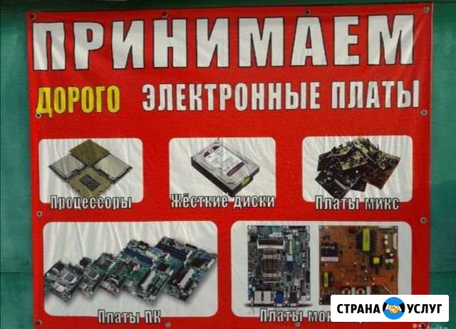 Вывоз мусора Барнаул - изображение 1