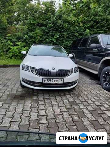 Прокат автомобиля Калининград - изображение 1