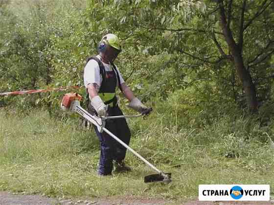 Покос и прополка вашего участка от травы Средняя Ахтуба