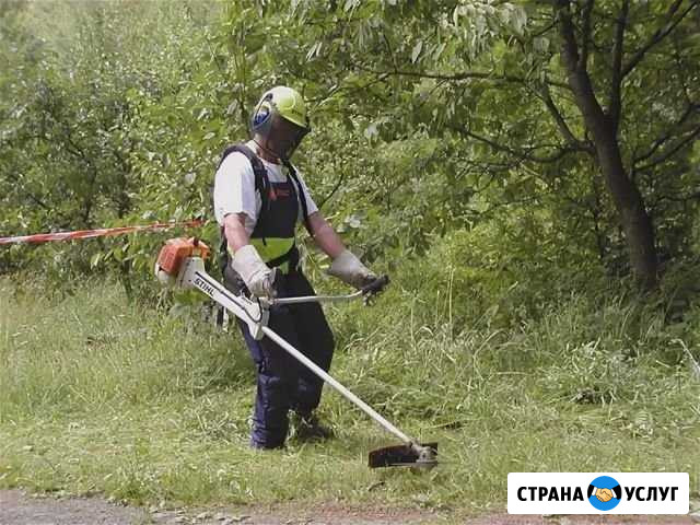 Покос и прополка вашего участка от травы Средняя Ахтуба - изображение 1