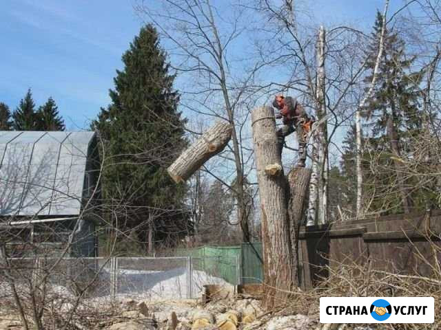 Спил деревьев Моршанск - изображение 1