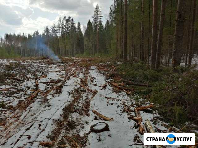 Услуги лесозаготовки Мантурово - изображение 1