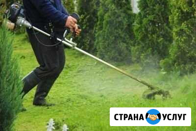 Покос травы Семикаракорск - изображение 1