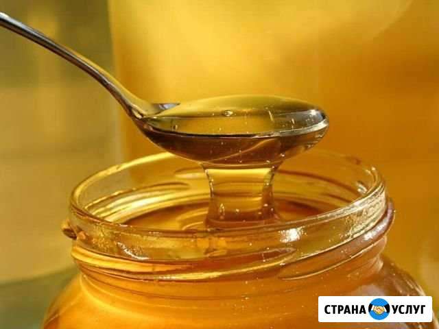 Мёд, соты, забрус Самара - изображение 1