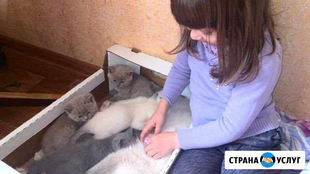 Няня Ухта - изображение 1