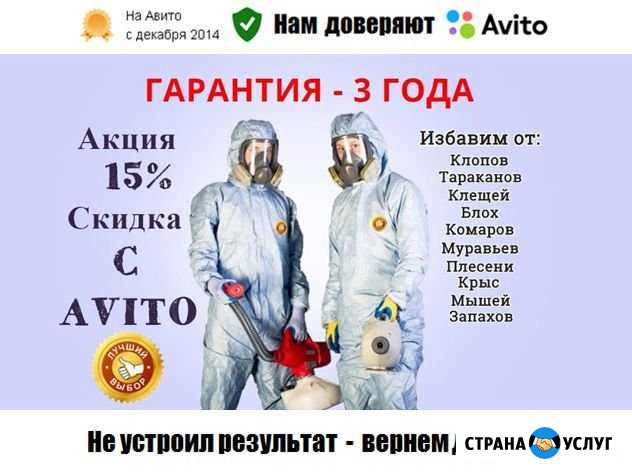 Уничтожение клопов, тараканов, клещей, грызунов Уфа - изображение 1