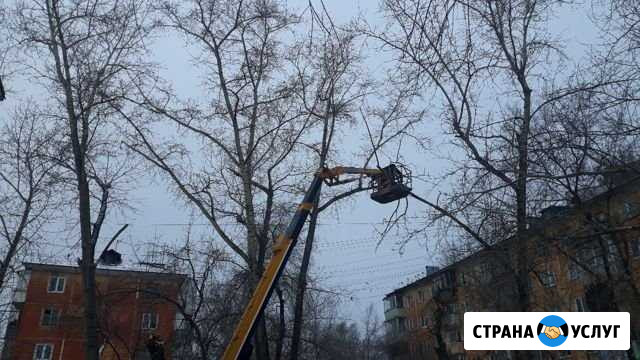 Спил,обрезка деревьев.Дробление Пней/Веток Красноярск - изображение 1