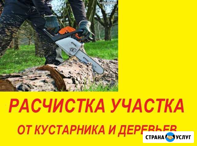 Покос газона Глебовский - изображение 1