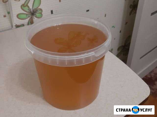 Продам мед Глазов - изображение 1