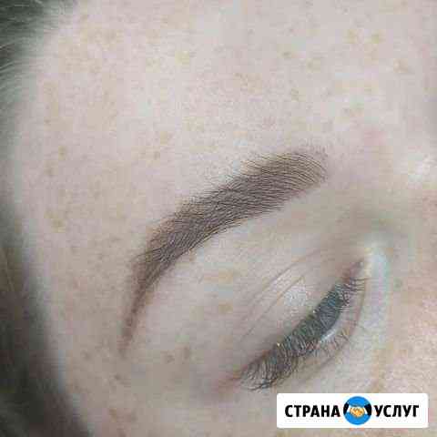 Брови Калининград