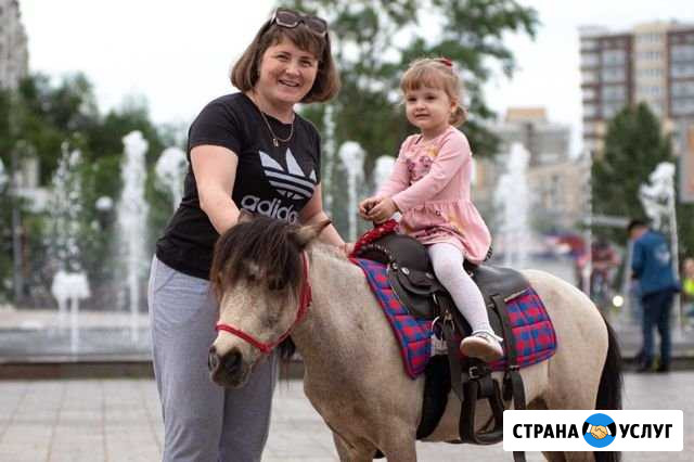 Заказ пони на праздник Оренбург - изображение 1