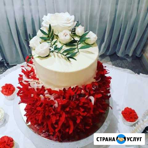 Торты Прасковея от 750/кг Прасковея - изображение 1