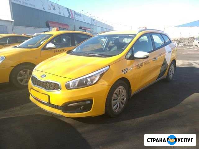 Аренда авто под такси Москва - изображение 1