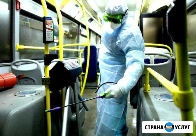 Дезинфекция, дезинсекция, дератизация с гарантией Сочи - изображение 1