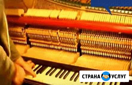 Настройка и ремонт фортепиано роялей,баянов Салават - изображение 1