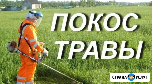 Скосим траву дачном участке.дома. дачи Керчь - изображение 1