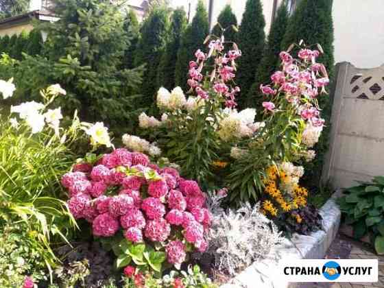 Садовник Калининград